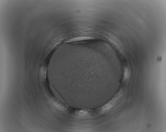 X0000094380180200711091609