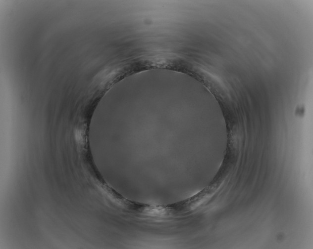 X0000094380181200711091609