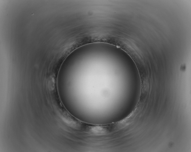 X0000094380183200711091609