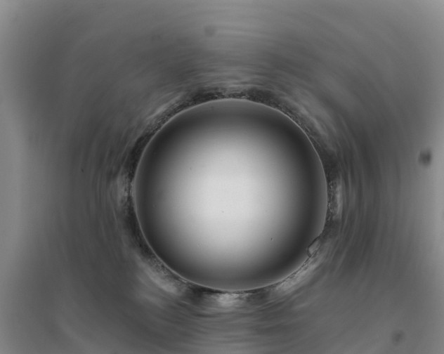 X0000094380184200711091609