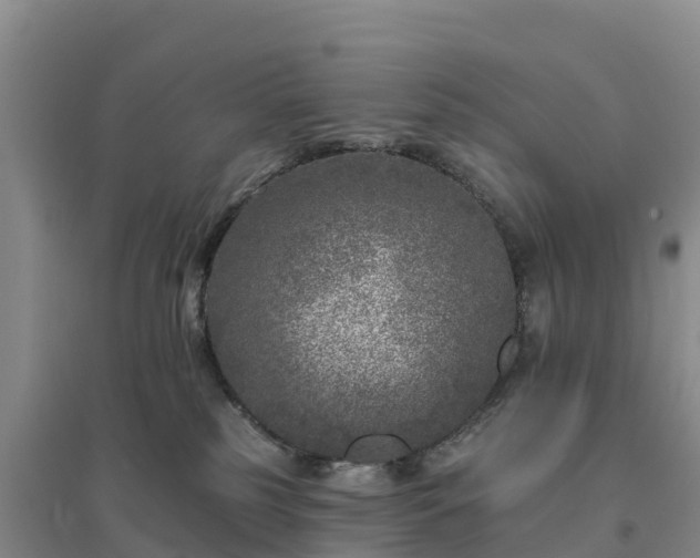 X0000094380185200711091609
