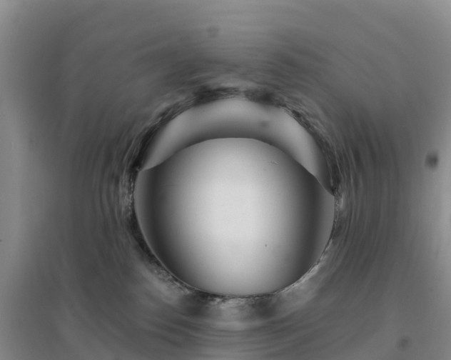X0000094380186200711091609