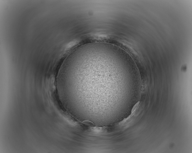 X0000094380187200711091609