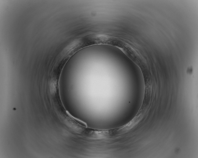 X0000094380188200711091610