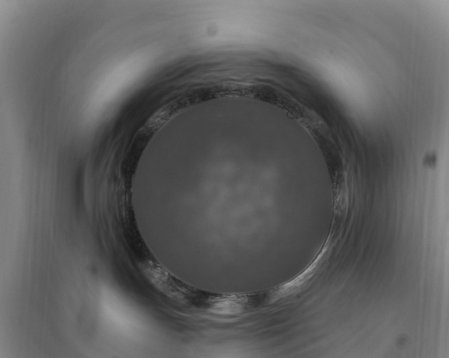 X0000094380191200711091610