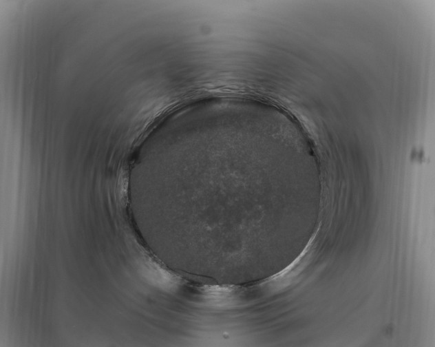 X0000094380192200711091610
