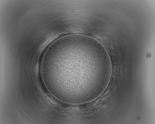X0000094380194200711091609