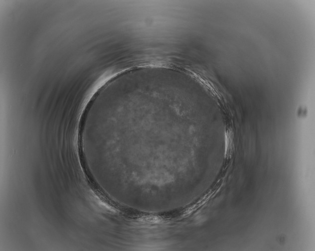 X0000094380195200711091609