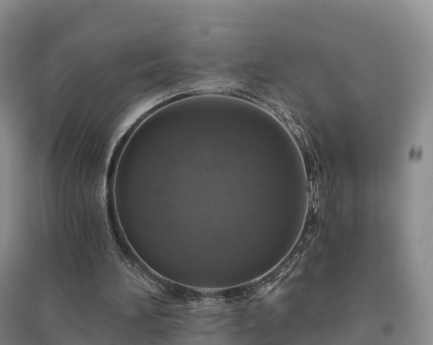 X0000094380196200711091609