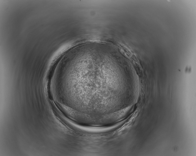 X0000094380197200711091609