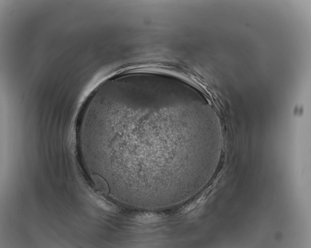 X0000094380198200711091609