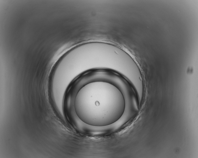 X0000094380199200711091609