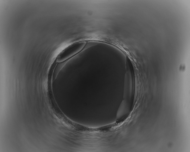 X0000094380200200711091609