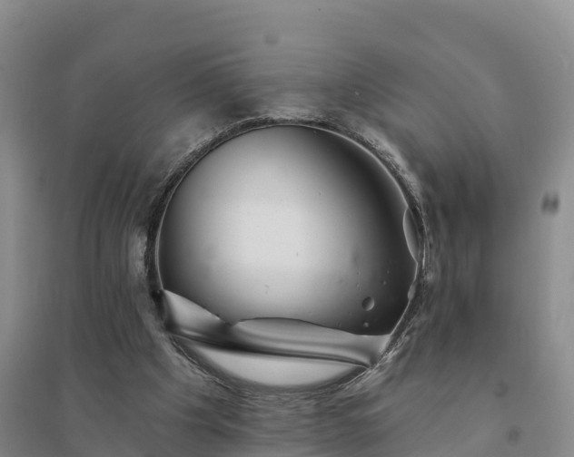 X0000094380201200711091609