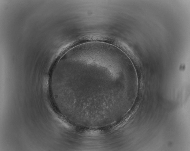 X0000094380202200711091609