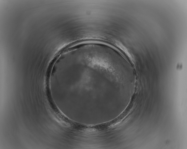 X0000094380203200711091609