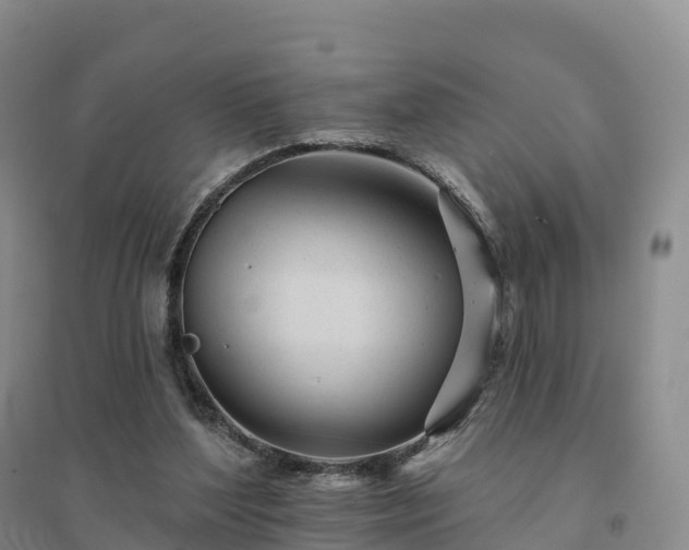 X0000094380204200711091609