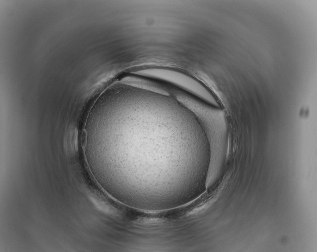 X0000094380205200711091609