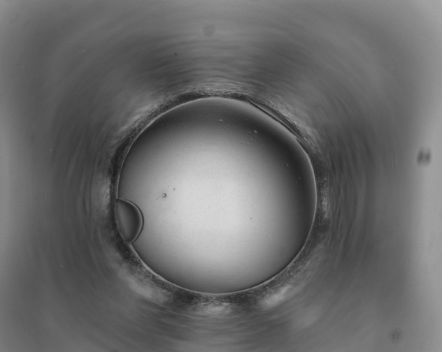 X0000094380206200711091609
