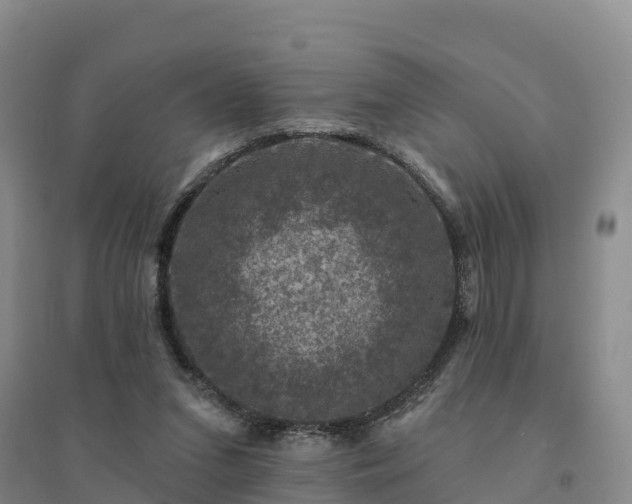 X0000094380207200711091609