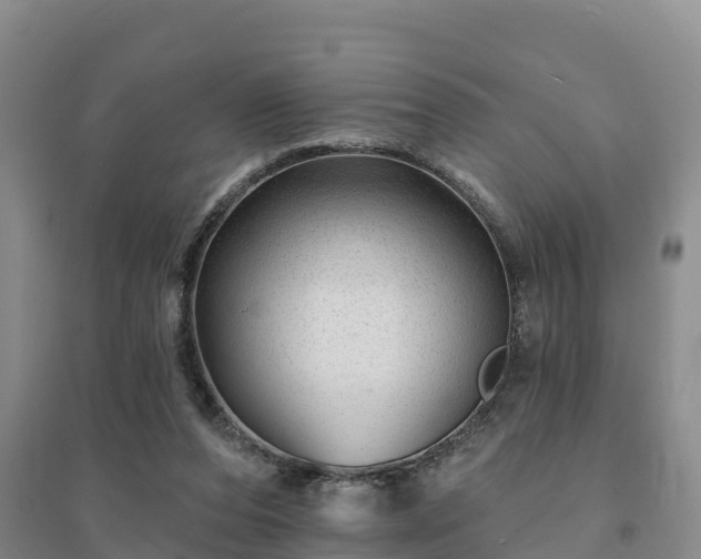 X0000094380208200711091609