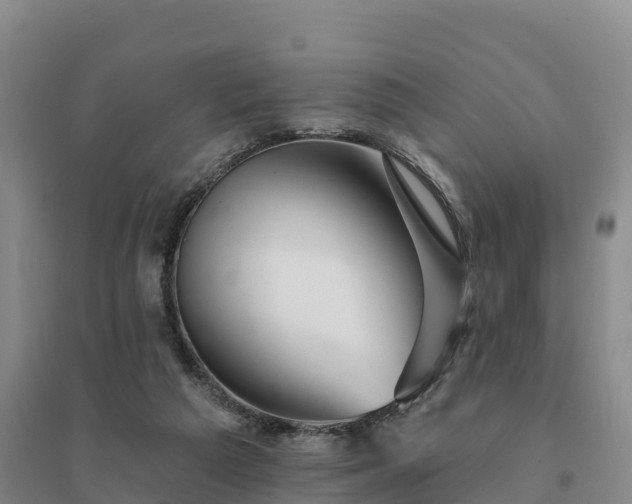 X0000094380209200711091609