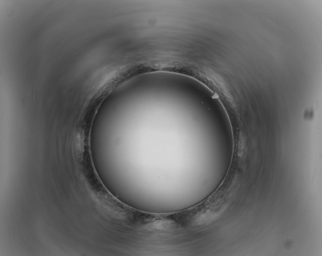 X0000094380210200711091608