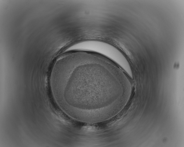 X0000094380211200711091608
