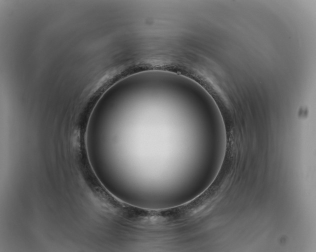 X0000094380212200711091608