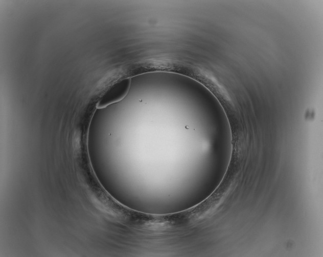 X0000094380213200711091608