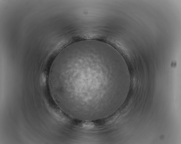 X0000094380214200711091608