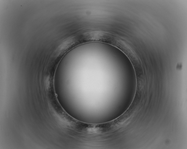 X0000094380216200711091608
