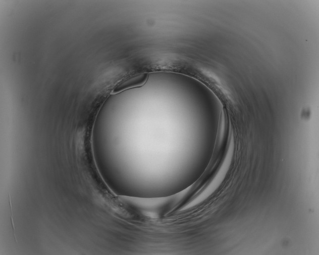 X0000094380217200711091608