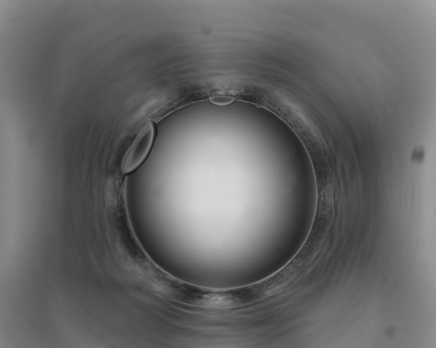 X0000094380218200711091608