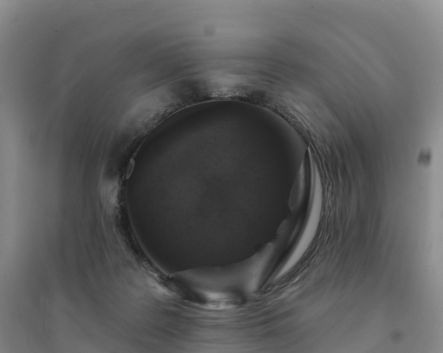 X0000094380219200711091608
