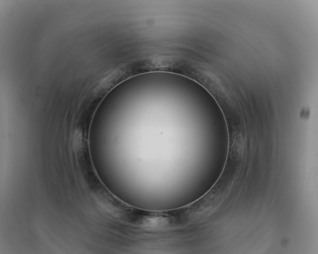 X0000094380220200711091608