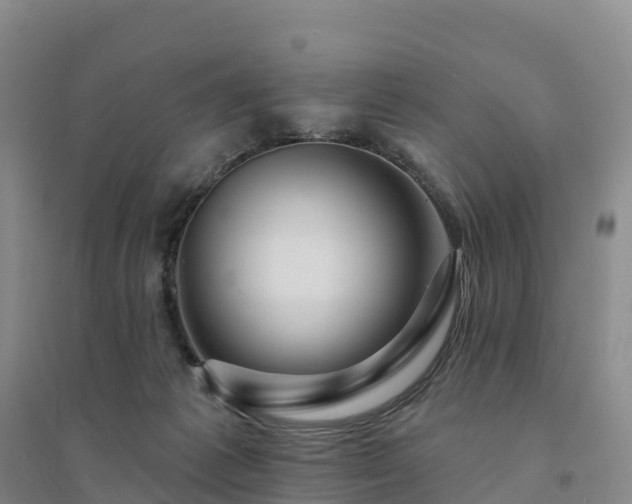 X0000094380221200711091608