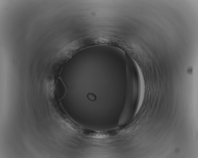 X0000094380223200711091608