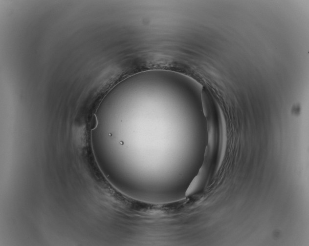 X0000094380224200711091608