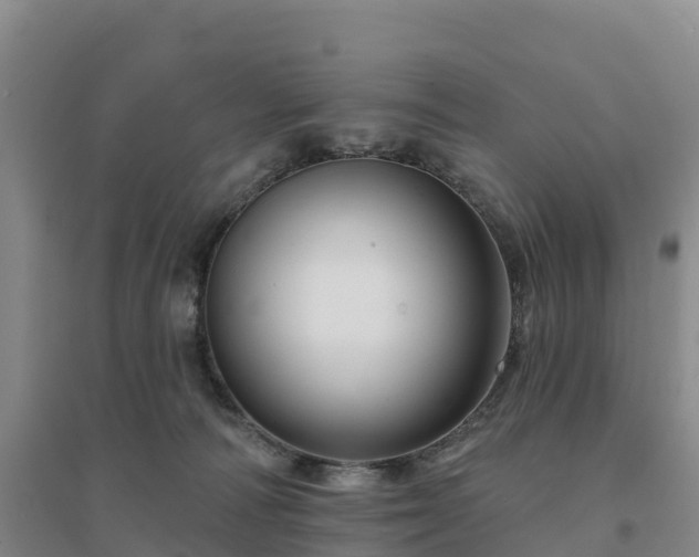 X0000094380226200711091608