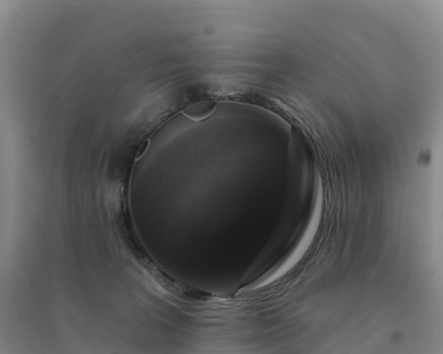 X0000094380227200711091608