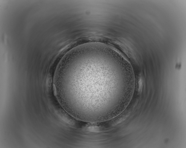 X0000094380228200711091608