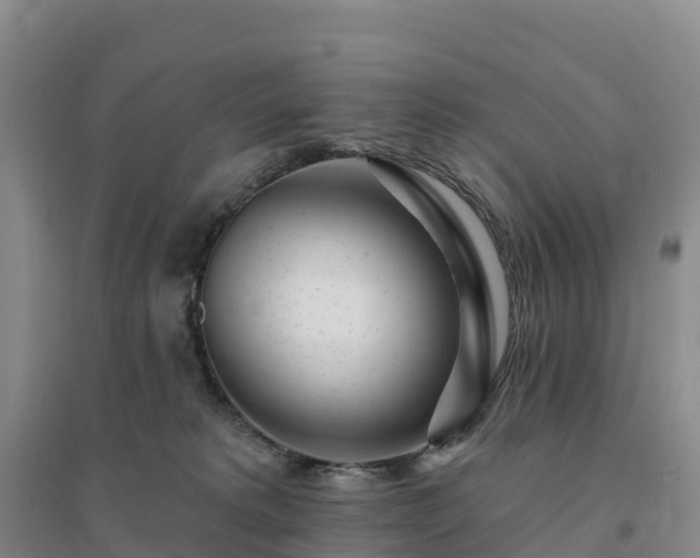 X0000094380229200711091608