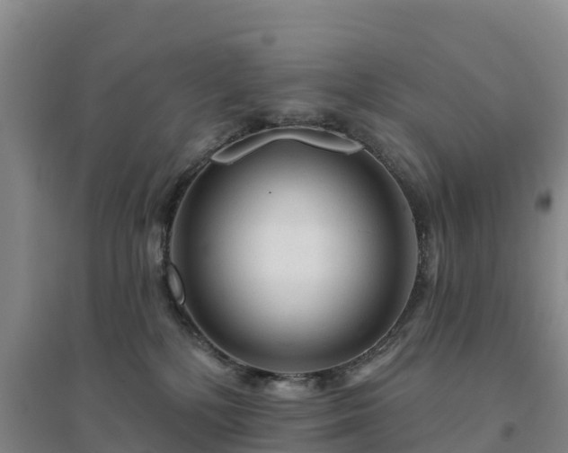 X0000094380232200711091608