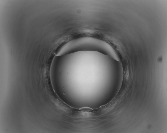 X0000094380233200711091608