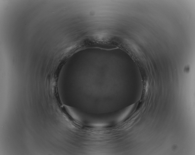 X0000094380235200711091608