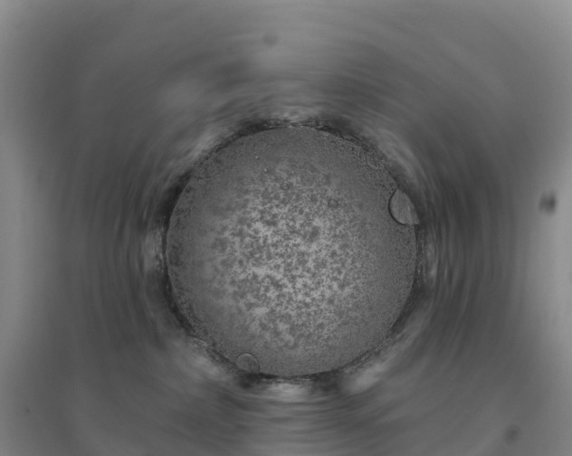 X0000094380236200711091608