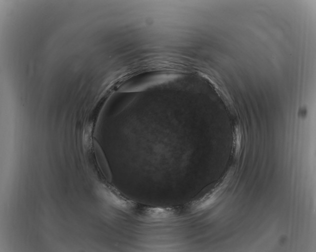 X0000094380239200711091608