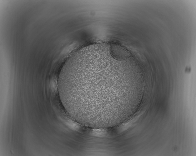 X0000094380240200711091608