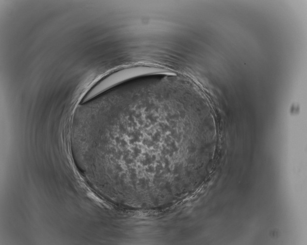 X0000094380241200711091607